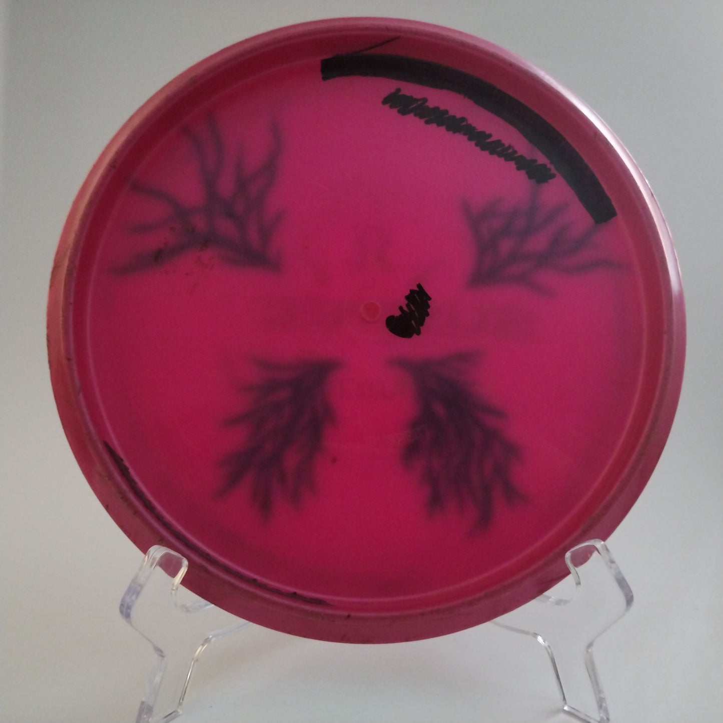 Dynamic Discs Fuzion Suspect - Dyed