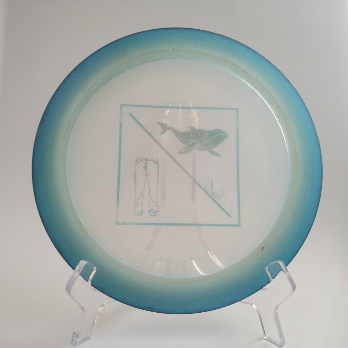 Dynamic Discs Lucid Raider