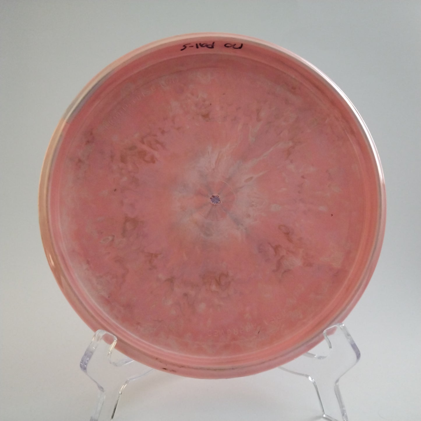 Prodigy 500 Spectrum Pa-1 - Otso 3 - Seppo Paju