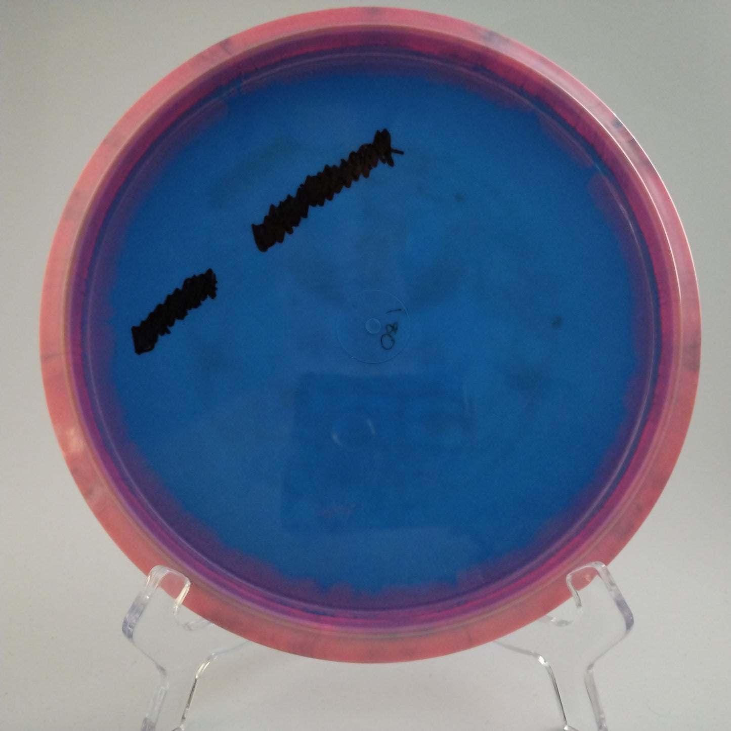 Innova Halo Star Jay - Hailey King