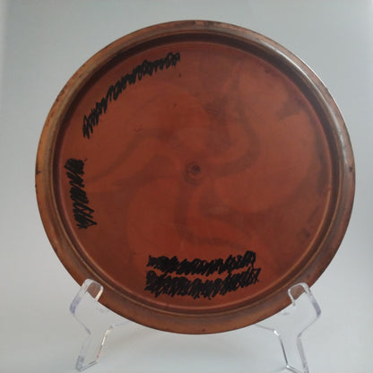 Dynamic Discs Fuzion Evidence