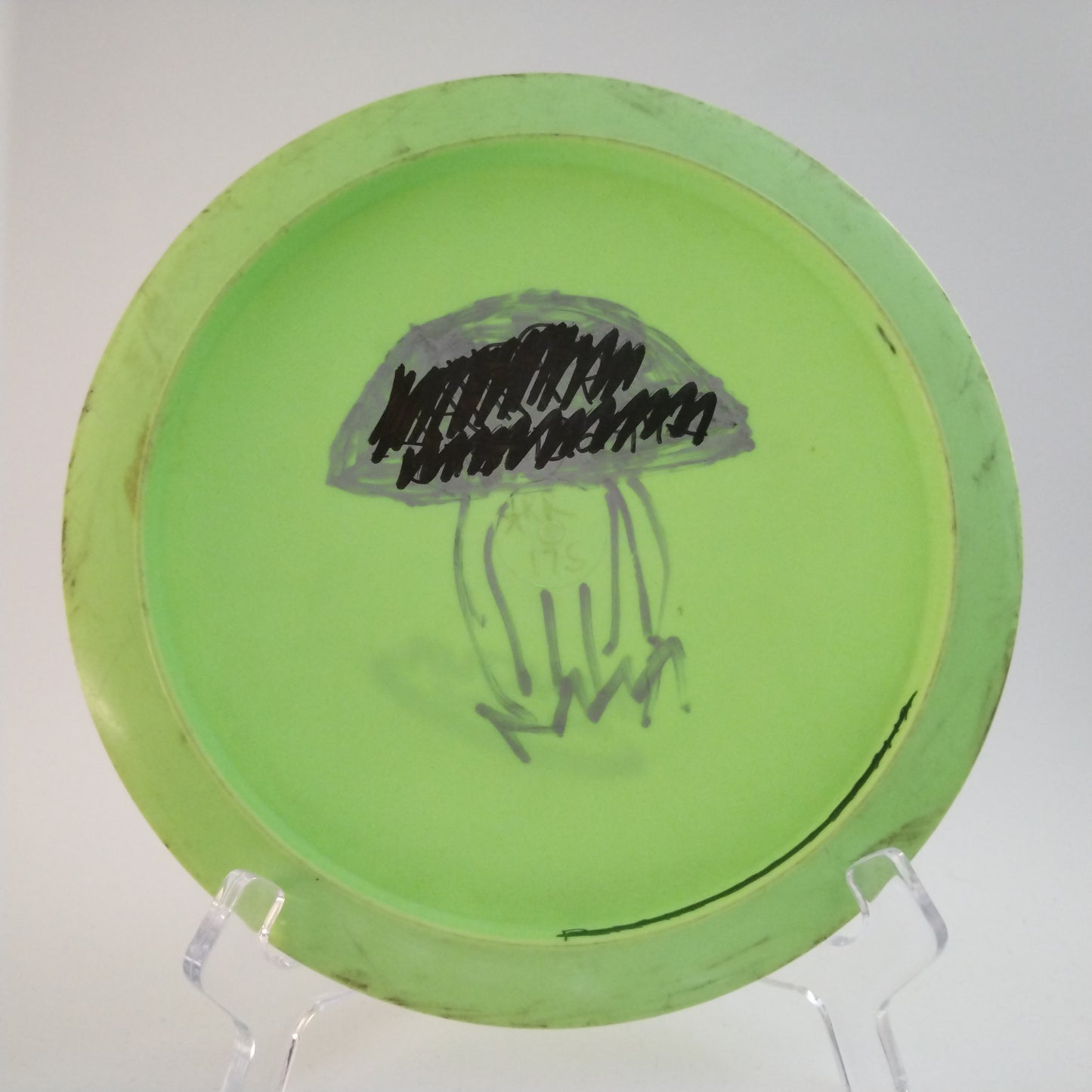 Innova Star Roadrunner