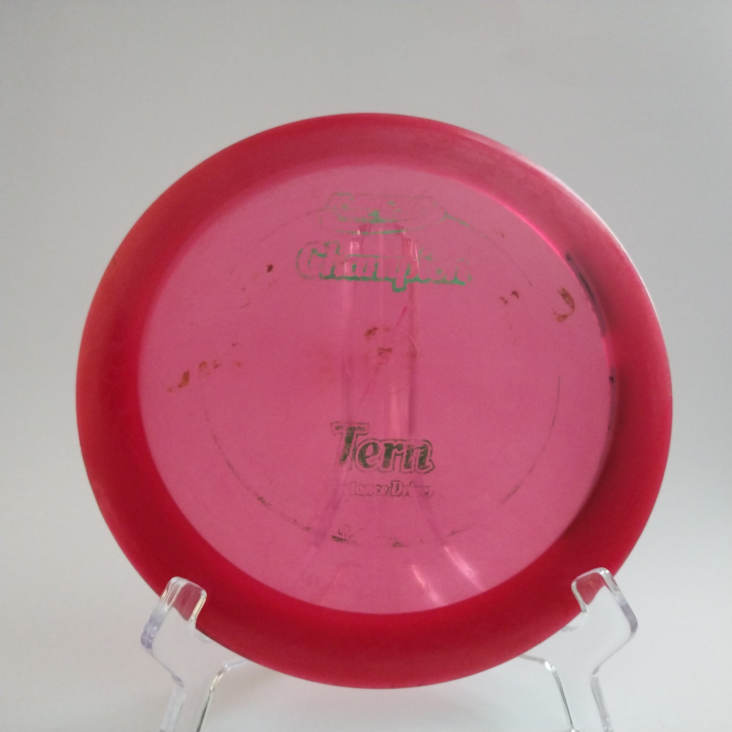 Innova Champion Tern