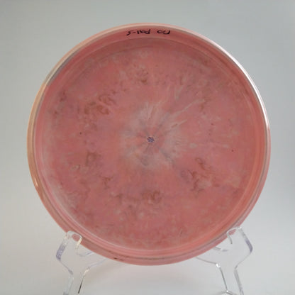 Prodigy 500 Spectrum Pa-1 - Otso 3 - Seppo Paju